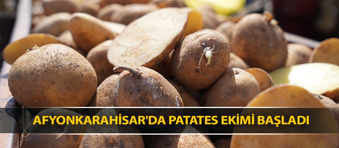 Afyonkarahisar'da patates ekimi başladı
