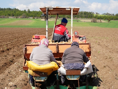 Afyonkarahisar'da patates ekimi başladı