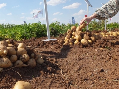 Nevşehir'de Patates Günleri Fuarı açıldı