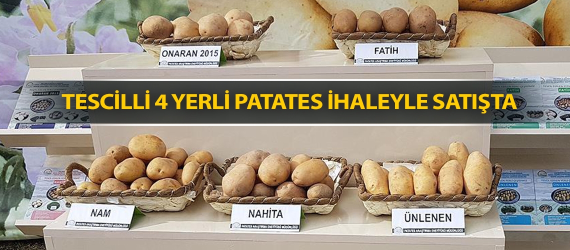 Tescilli 4 yerli patates ihaleyle satışta