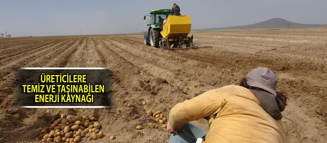 Altunhisar patatesi 60 gün sonra sofralarda