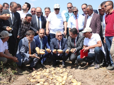 Patateste bilinçli tarım dönemi