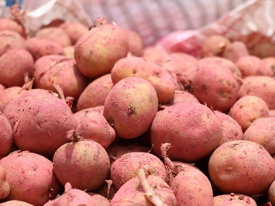 Onaran 2015 satıldı