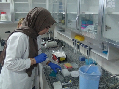 Patatesin parmak izi çıkarılıyor