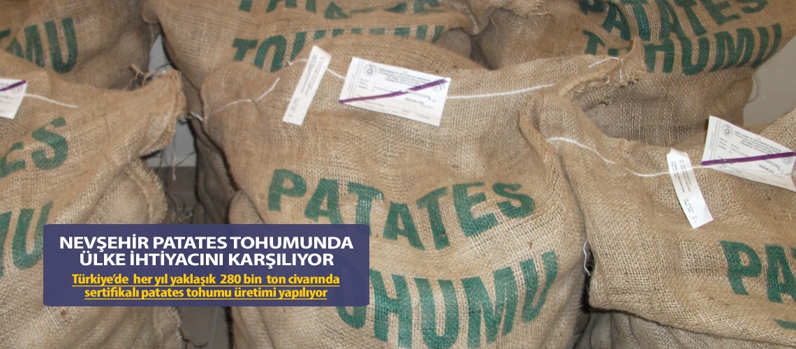 Nevşehir patates tohumunda ülke ihtiyacını karşılıyor