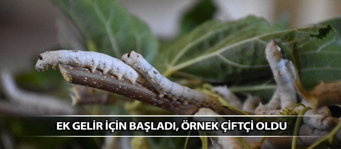 Ek gelir için başladı, örnek çiftçi oldu