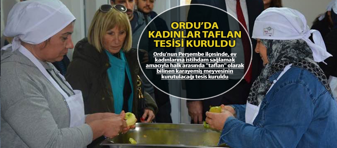 Ordu’da kadınlar taflan tesisi kuruldu