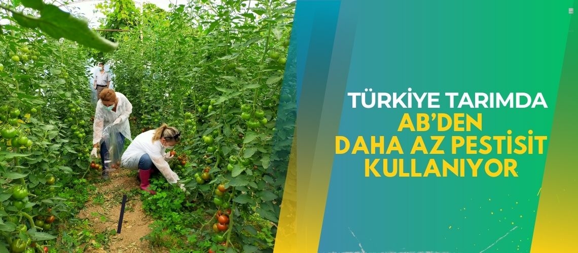 Türkiye tarımda AB’den daha az pestisit kullanıyor