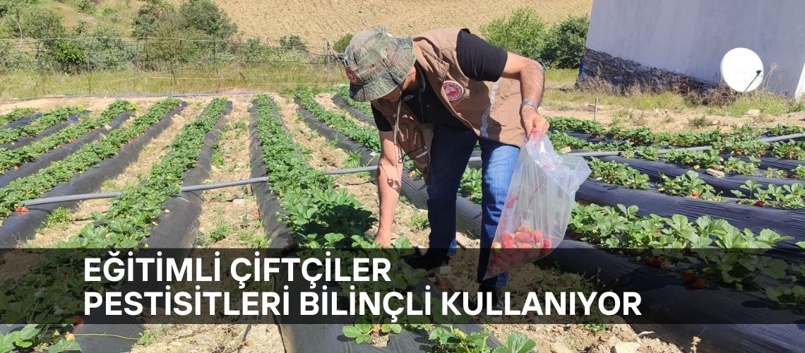 Eğitimli çiftçiler pestisitleri bilinçli kullanıyor