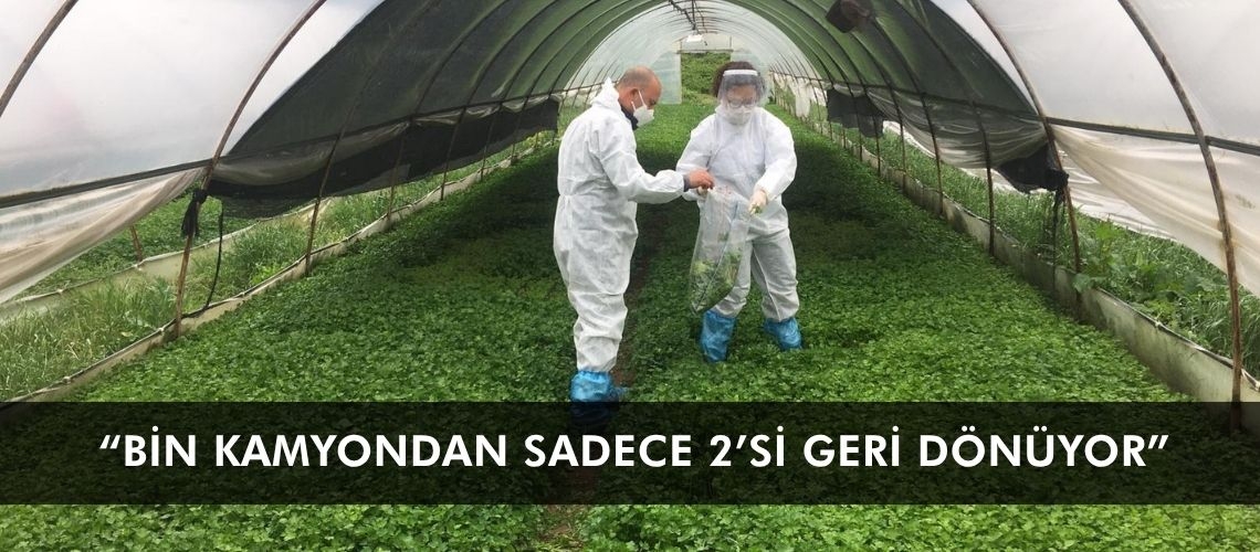 “Bin kamyondan sadece 2’si geri dönüyor”