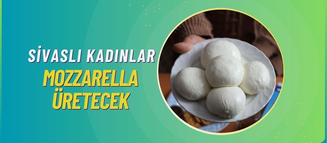 Sivaslı kadınlar Mozzarella üretecek