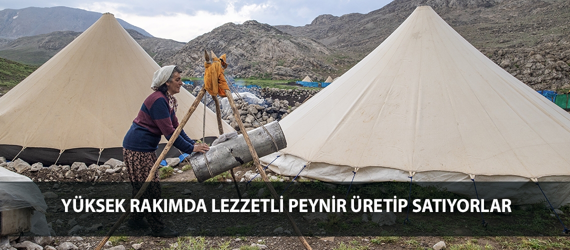 Yüksek rakımda lezzetli peynir üretip satıyorlar