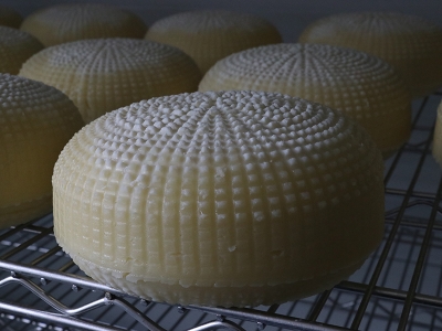 Tescilli Çerkez peyniri destekle üretiliyor