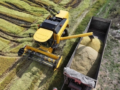 Tescilli pirincin ekim alanı artıyor