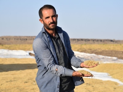 Karacadağ pirincinin üretim alanı genişliyor