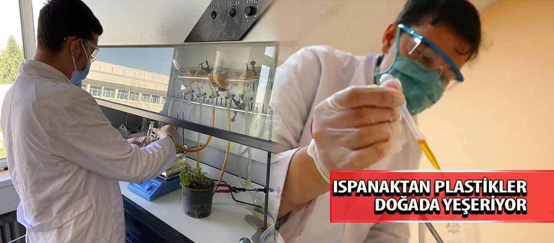 Ispanaktan plastikler doğada yeşeriyor