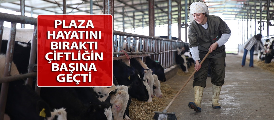 Plaza hayatını bıraktı çiftliğin başına geçti
