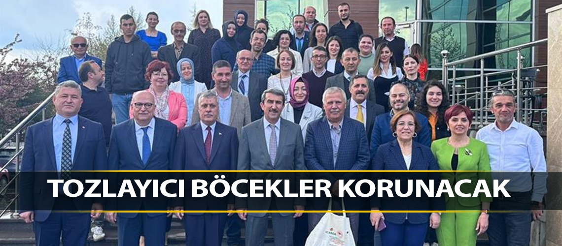 Tozlayıcı böcekler korunacak