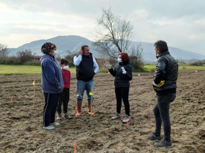 Tozlayıcı böcekler korunacak