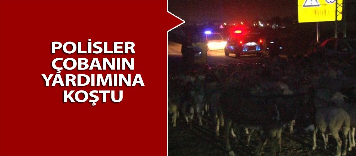 Polisler çobanın yardımına koştu