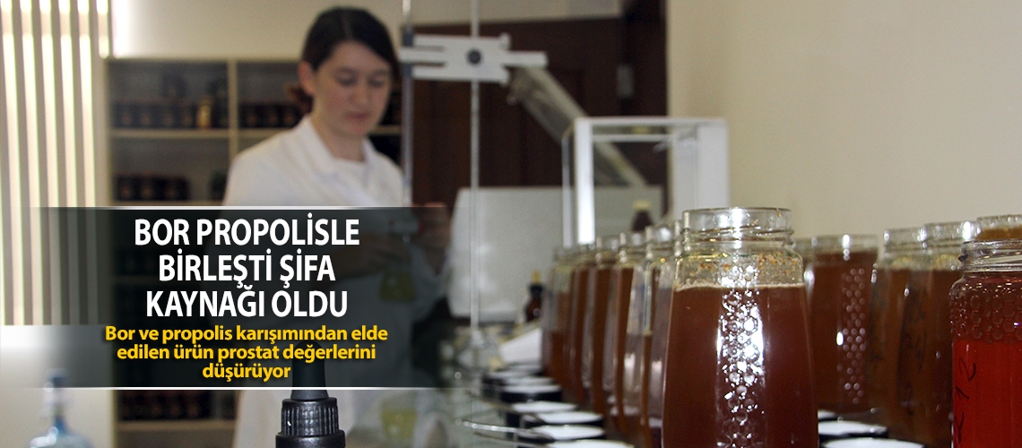 Bor propolisle birleşti şifa kaynağı oldu