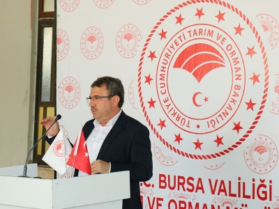 Çörek otu hasadı başladı