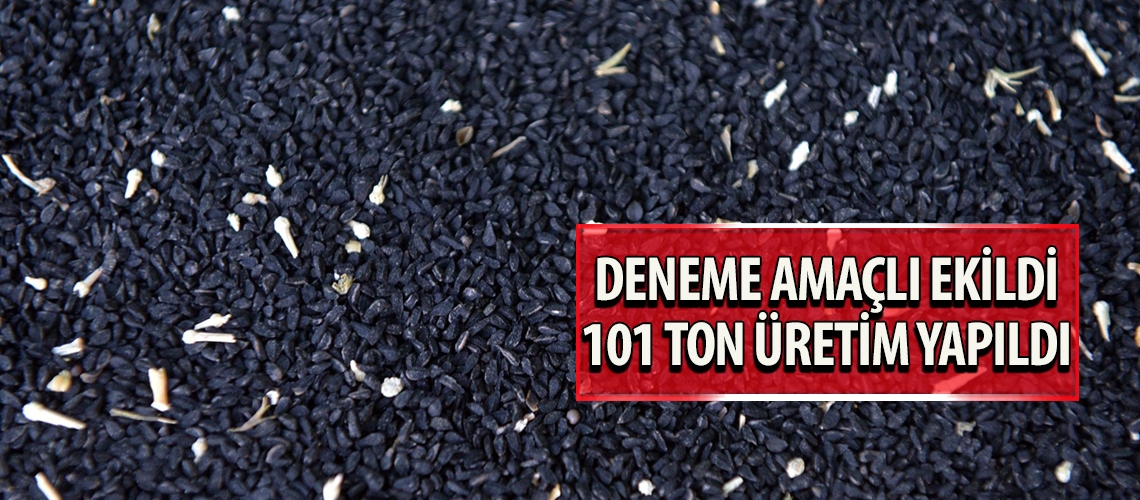 Deneme amaçlı ekildi 101 ton üretim yapıldı