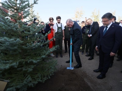 Milli ağaçlandırma gününde “yeşil” rekor