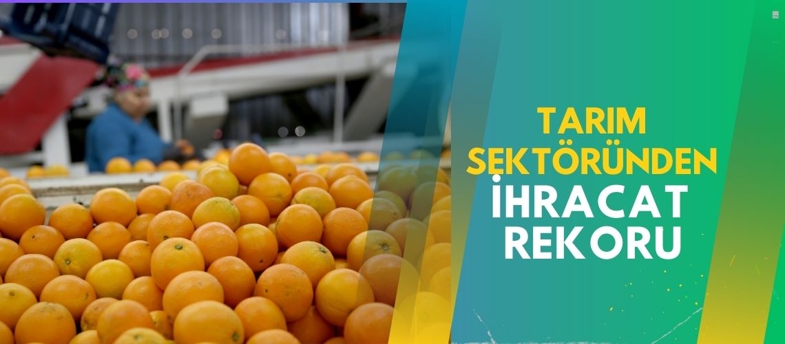 Tarım sektöründen ihracat rekoru
