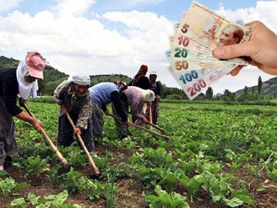 Alan bazlı destek tarım bütçesinden en büyük payı aldı