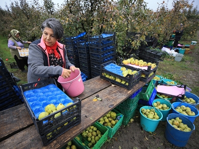 Bahçenin yorgunluğunu tuvalde atıyor