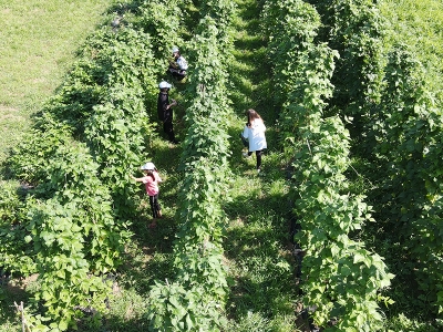 Çocuklar atıl araziden ürün elde etti