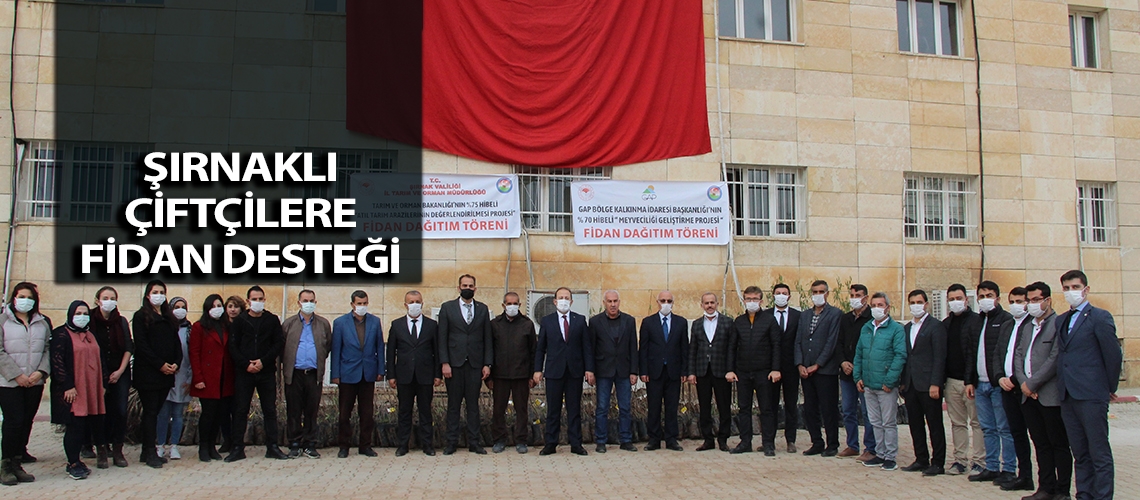 Şırnaklı çiftçilere fidan desteği