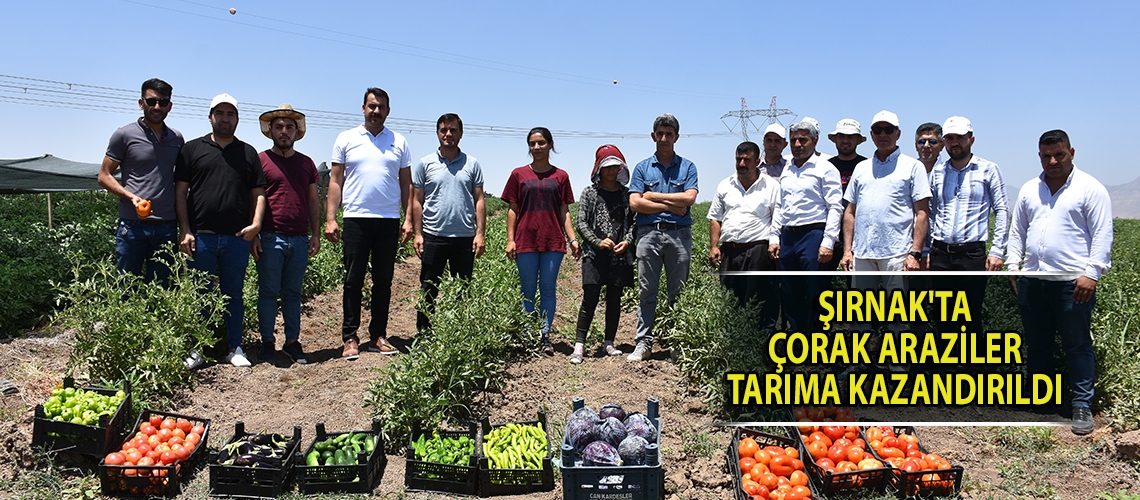 Şırnak'ta çorak araziler tarıma kazandırıldı