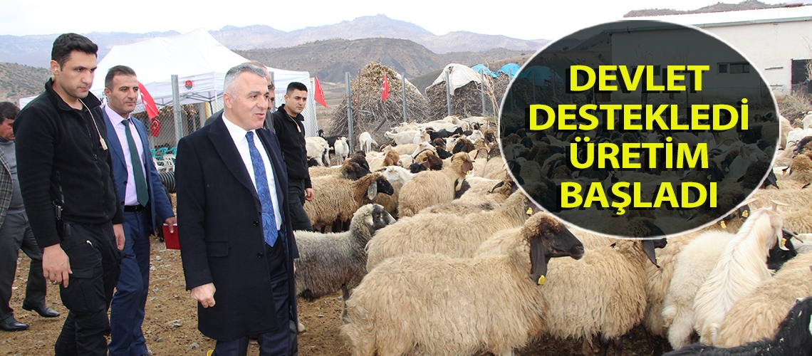 Devlet destekledi üretim başladı