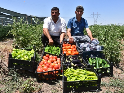 Şırnak'ta çorak araziler tarıma kazandırıldı