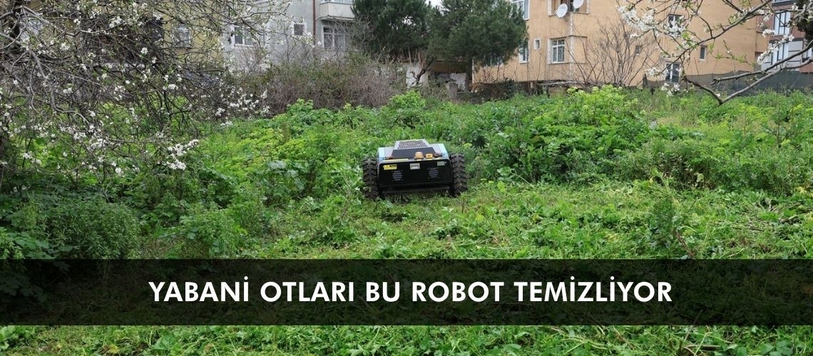 Yabani otları bu robot temizliyor