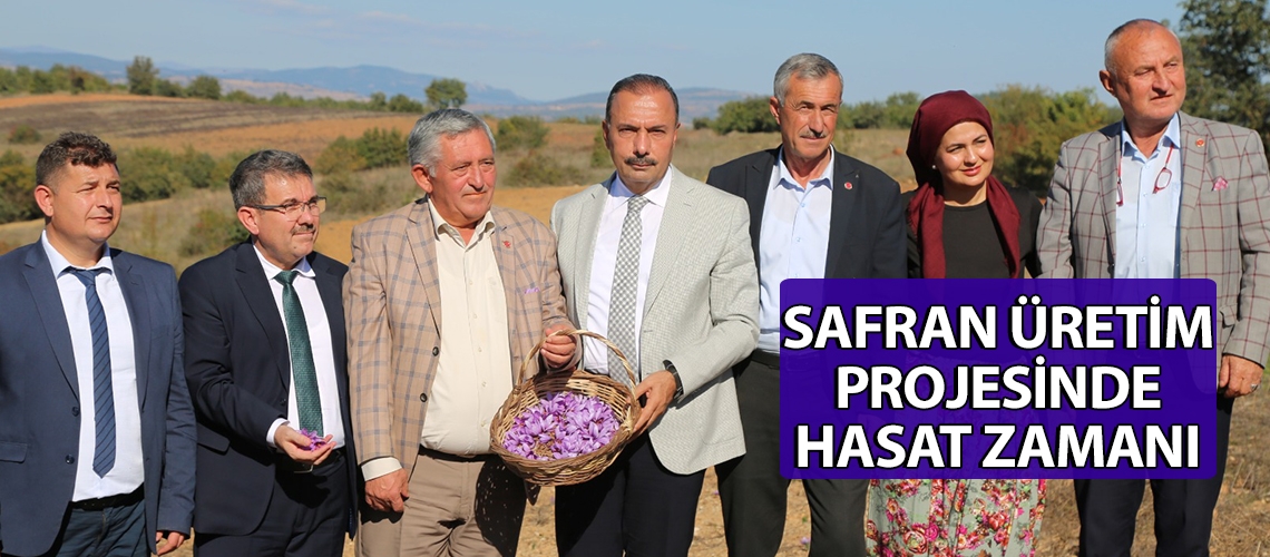 Safran Üretim Projesinde hasat zamanı