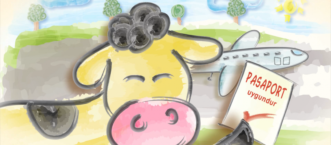 Sağlıklı Bayramlar