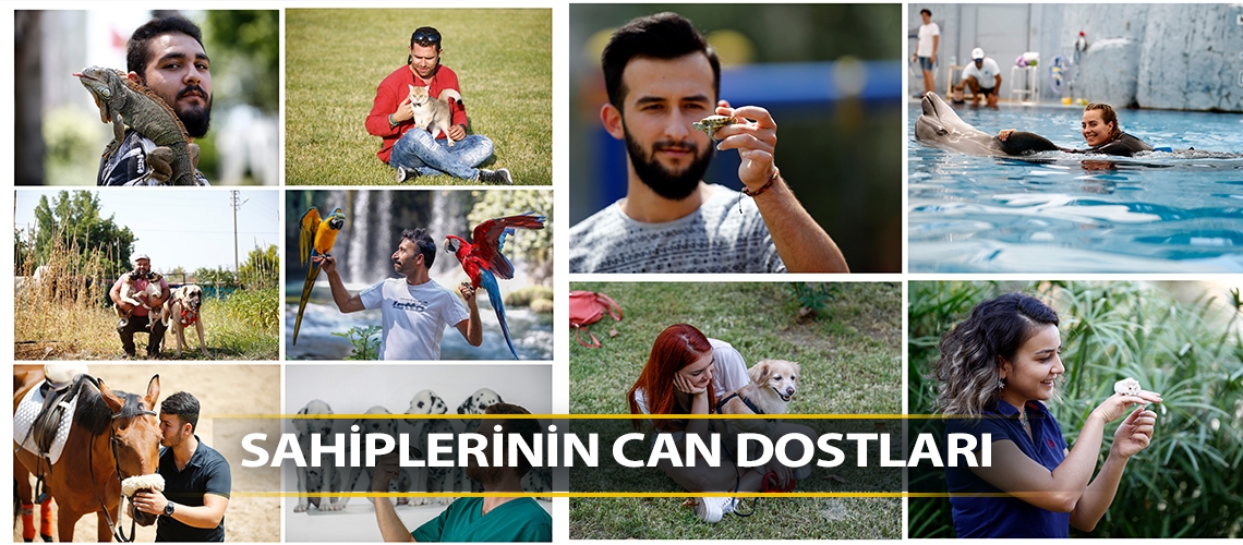 Sahiplerinin can dostları