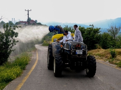 Sakarya'da kahverengi kokarca mücadelesi