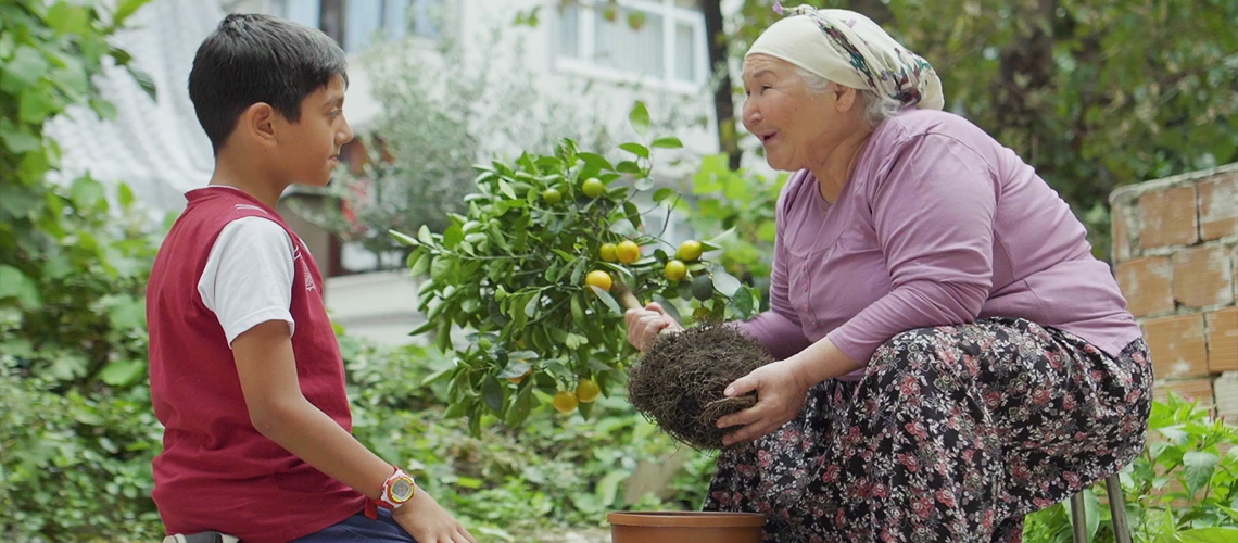 Arazi Toplulaştırması -1