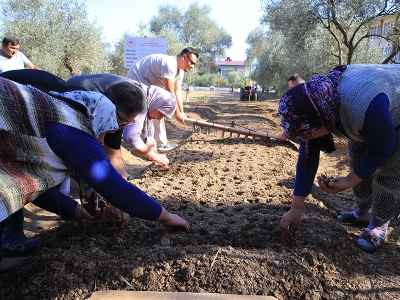 Muğla’da salebe yoğun ilgi