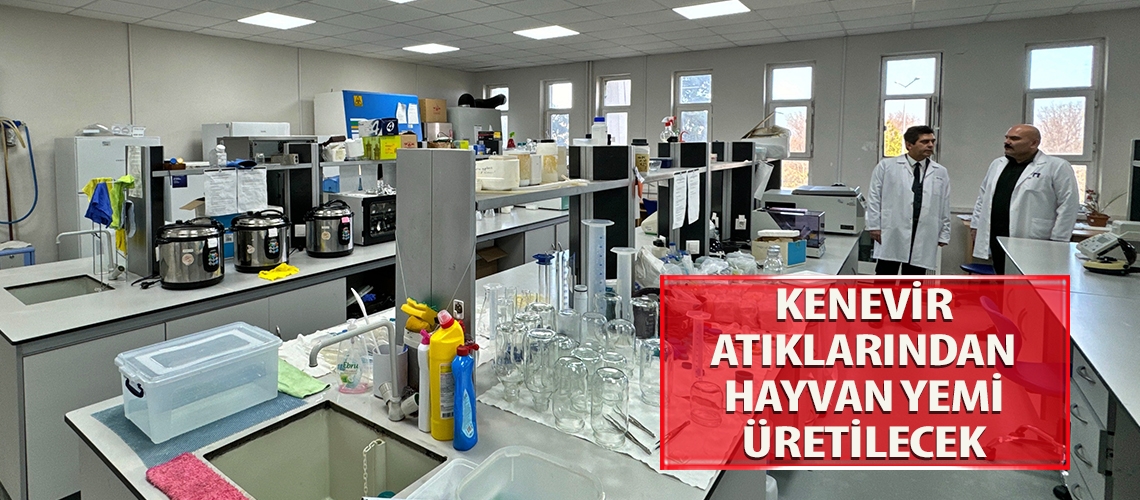 Kenevir atıklarından hayvan yemi üretilecek