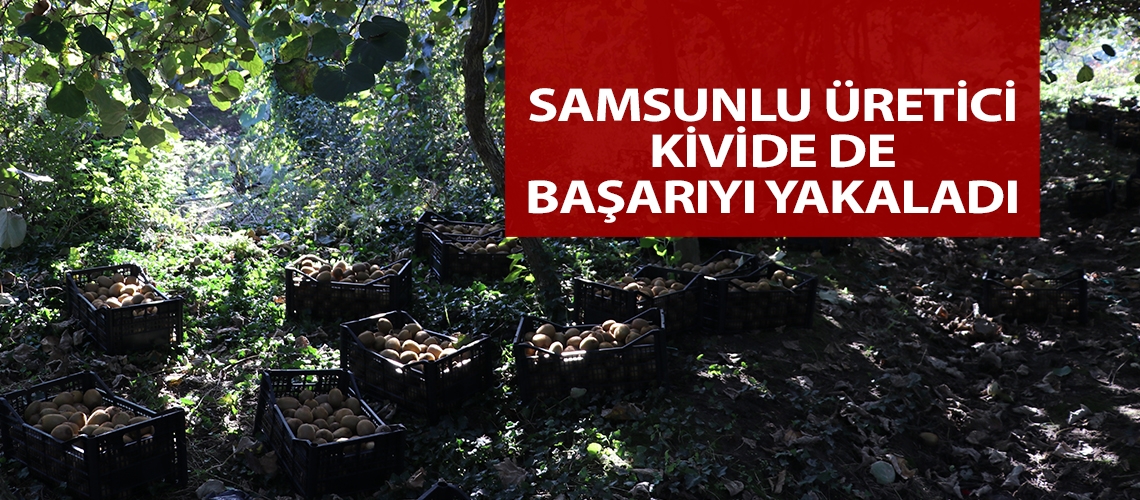 Samsunlu üretici kivide de başarıyı yakaladı