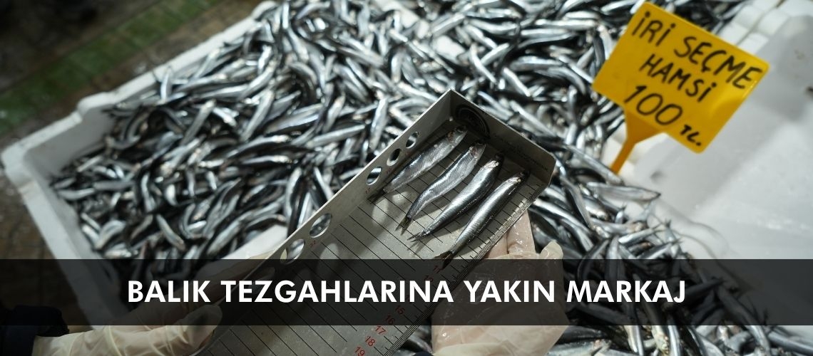 Balık tezgahlarına yakın markaj