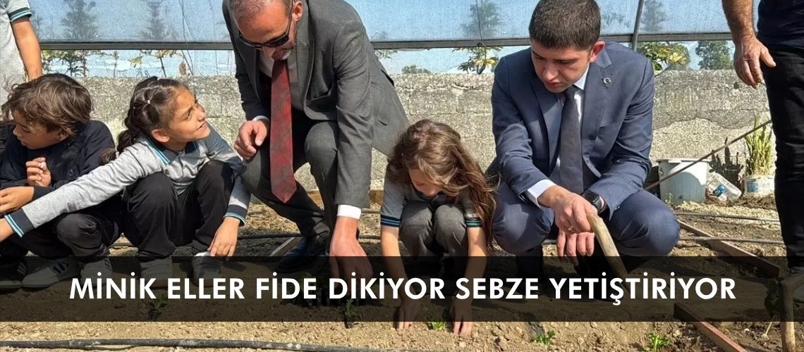 Minik eller fide dikiyor sebze yetiştiriyor