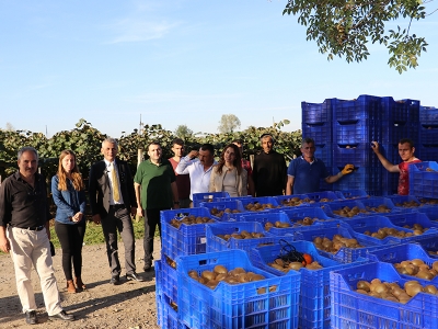 Samsunlu üretici kivide de başarıyı yakaladı