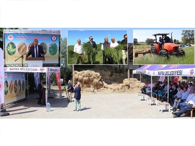 Bafra ‘Tarla Günü’ne ev sahipliği yaptı