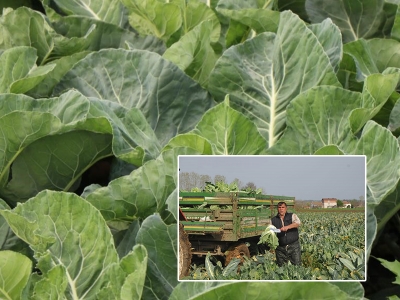 Samsun karnabaharda Türkiye birincisi